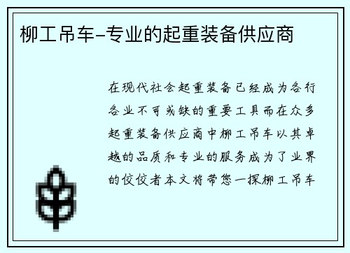 柳工吊车-专业的起重装备供应商