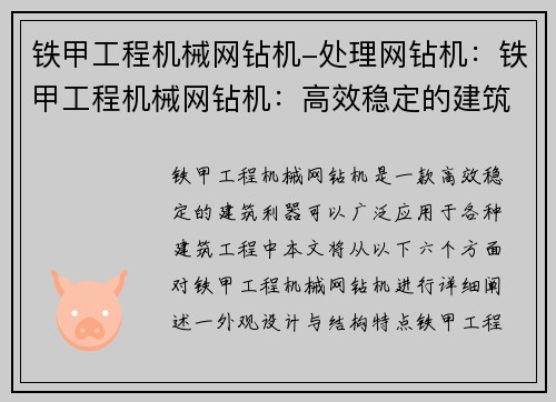 铁甲工程机械网钻机-处理网钻机：铁甲工程机械网钻机：高效稳定的建筑利器
