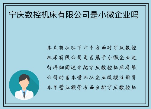 宁庆数控机床有限公司是小微企业吗